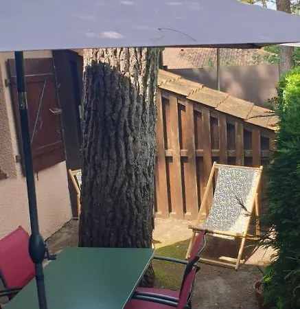 Ocean Petite Maison Au Calme Sous Les Pins 2 A 4 Personnes *